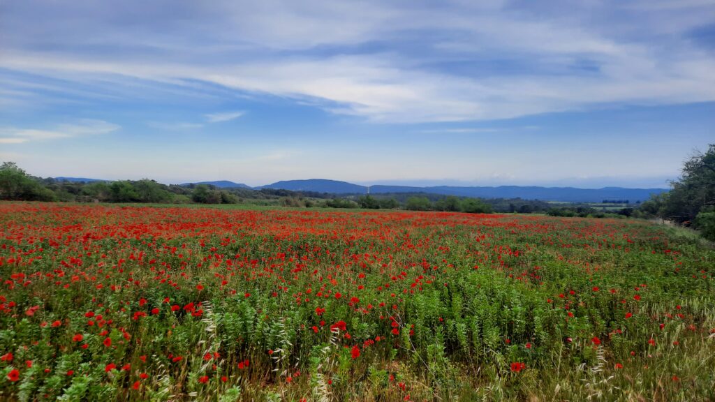 Les Environs 20230523 202538