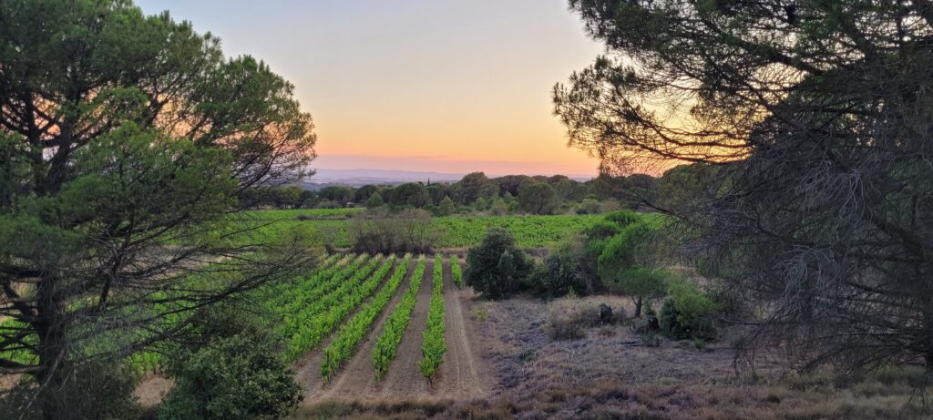 Les Environs 20240725 210927 (1)